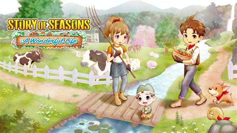 jeu story of seasons switch.